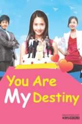 Nonton Film You Are My Destiny (2008) Sub Indo