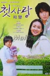 Nonton Film First Love (1996) Sub Indo