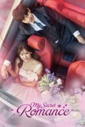 Nonton Film My Secret Romance (2017) Sub Indo