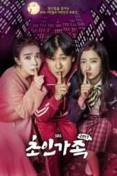 Nonton Film Super Family (2017) Sub Indo