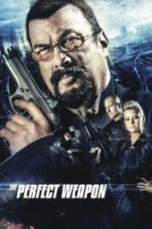 Nonton Film The Perfect Weapon (2016) Sub Indo