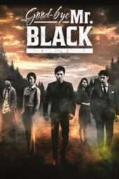 Nonton Film Goodbye Mr. Black (2016) Sub Indo