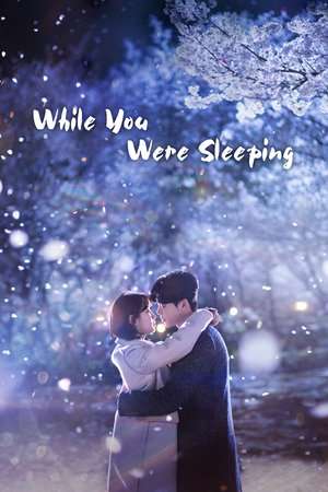 Nonton While You Were Sleeping (2017) Sub Indo