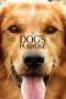 Nonton Film A Dog’s Purpose (2017) Sub Indo