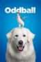 Nonton Film Oddball (2015) Sub Indo