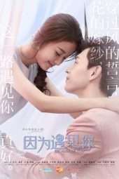 Nonton Film Because Of You (2017) Sub Indo