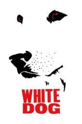 Nonton Film White Dog (1982) Sub Indo