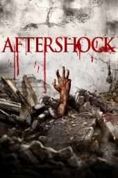 Nonton Film Aftershock (2012) Sub Indo