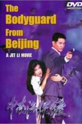 Nonton Film The Defender (1994) Sub Indo