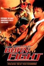 Nonton Film Born to Fight (2004) Sub Indo