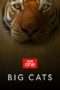 Nonton Film Big Cats Season 01 (2018) Sub Indo