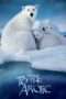 Nonton Film To the Arctic (2012) Sub Indo