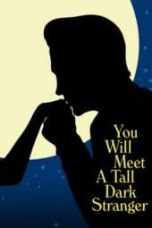 Nonton Film You Will Meet a Tall Dark Stranger (2010) Sub Indo