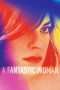 Nonton Film A Fantastic Woman (2017) Sub Indo