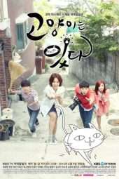 Nonton Film My Dear Cat (2014) Sub Indo