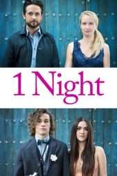 Nonton Film 1 Night (2016) Sub Indo