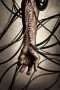 Nonton Film Pandorum (2009) Sub Indo