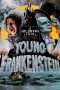 Nonton Film Young Frankenstein (1974) Sub Indo