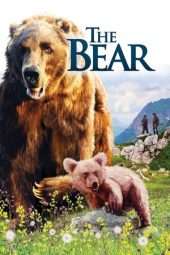 Nonton Film The Bear (1988) Sub Indo