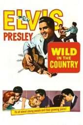 Nonton Film Wild in the Country (1961) Sub Indo