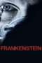 Nonton Film Frankenstein (2004) Sub Indo