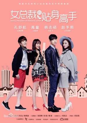 Nonton Personal Assistant of Female President S01 (2016) Sub Indo