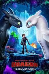 Nonton Film How to Train Your Dragon: The Hidden World (2019) Sub Indo