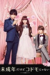 Nonton Film Teen Bride / That is Not a Child But a Minor (2017) Sub Indo