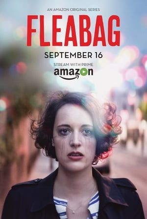 Nonton Fleabag Season 01 (2016) Sub Indo