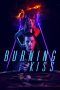 Nonton Film Burning Kiss (2018) gt Sub Indo