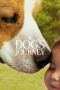 Nonton Film A Dog’s Journey (2019) Sub Indo