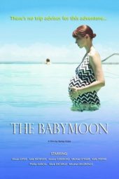 Nonton Film The Babymoon (2017) Sub Indo