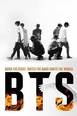 Nonton BTS: Burn the Stage (2018) Sub Indo