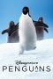 Nonton Film Penguins (2019) Sub Indo