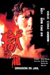 Nonton Film Dragon in Jail (1990) Sub Indo