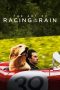 Nonton Film The Art of Racing in the Rain (2019) Sub Indo