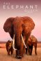 Nonton Film The Elephant Queen (2019) Sub Indo