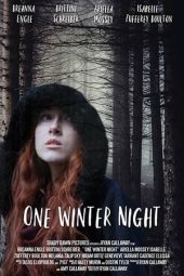 Nonton Film One Winter Night (2019) Sub Indo