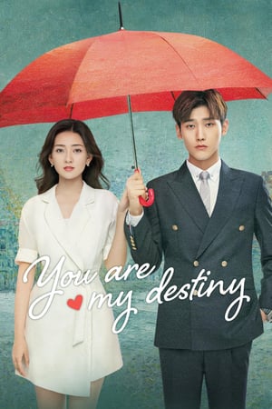 Nonton You Are My Destiny Ch (2020) Sub Indo