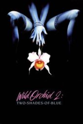 Nonton Film Wild Orchid II: Two Shades of Blue (1991) Sub Indo