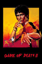 Nonton Film Game of Death II (1981) Sub Indo