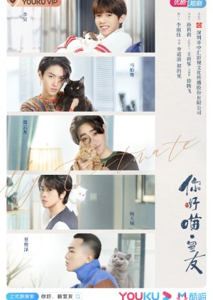 Nonton My Catmate (2020) Sub Indo