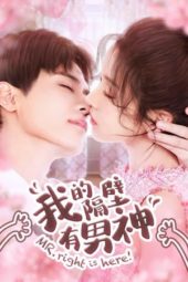 Nonton Film Mr. Right is Here (2020) Sub Indo