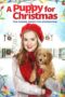 Nonton Film A Puppy for Christmas (2016) Sub Indo