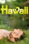 Nonton Film Hawaii (2013) Sub Indo