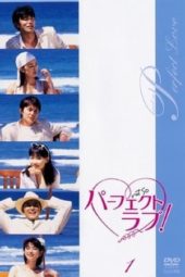 Nonton Film Perfect Love (1999) Sub Indo