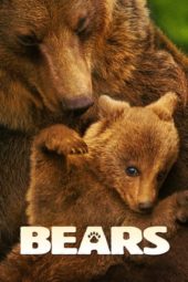 Nonton Film Bears (2014) Sub Indo