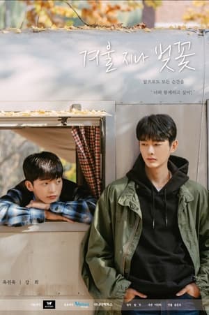 Nonton Cherry Blossoms After Winter (2022) Sub Indo