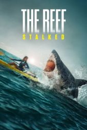 Nonton Film The Reef: Stalked (2022) Sub Indo