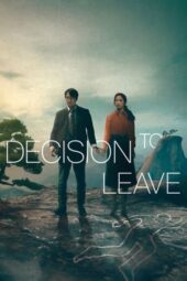 Nonton Film Decision to Leave (2022) Sub Indo